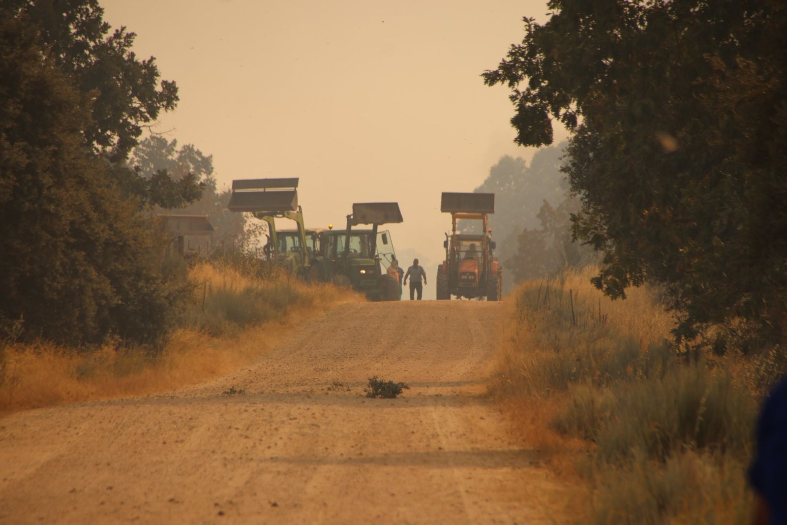 El incendio de Cipérez (IGR2) llega hasta Cerezal de Puertas