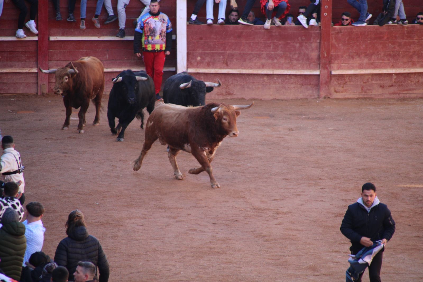 Encierro de sábado en el Carnaval del toro 2026 de Ciudad Rodrigo