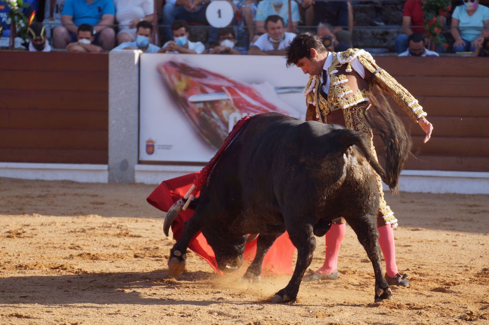 toros-en-guijuelo-15-de-agosto-35