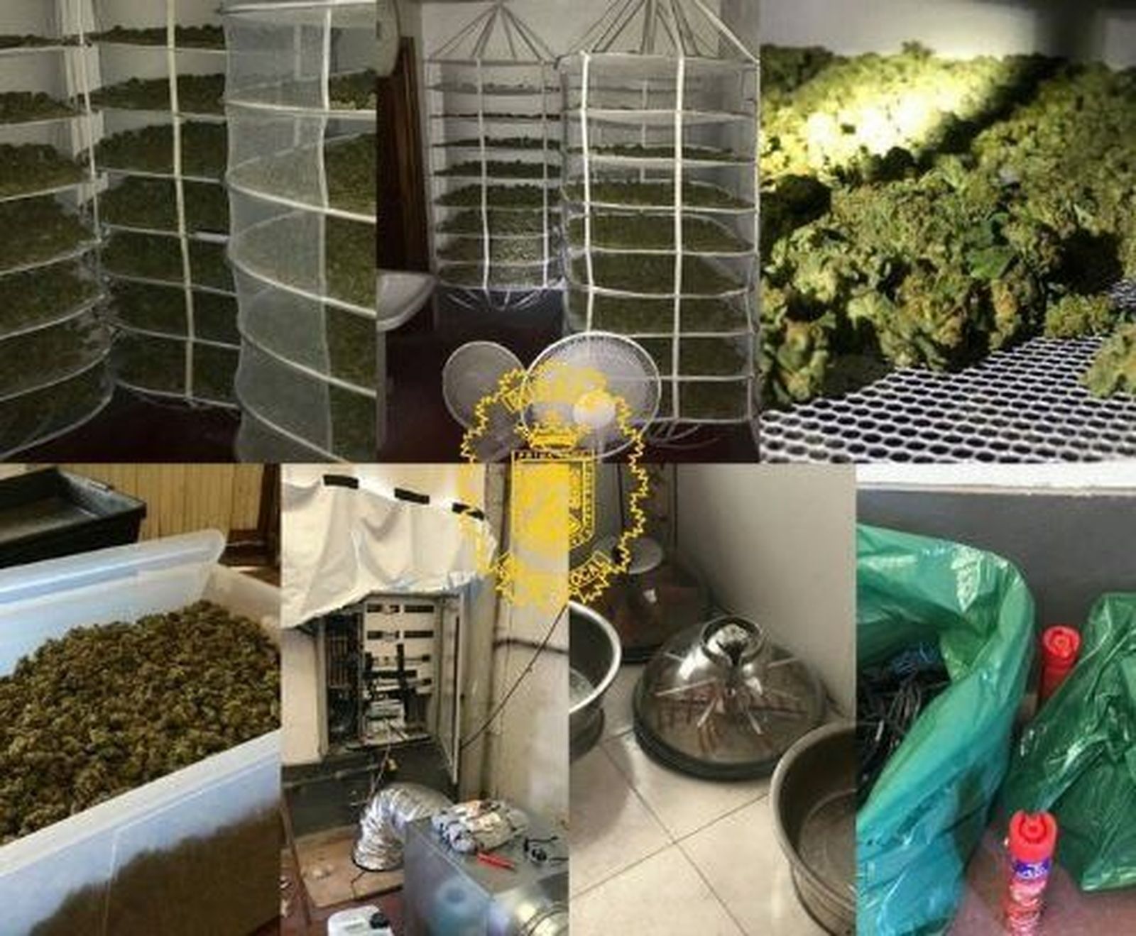 Tres detenidos y 11 kilos de marihuana aprehendidos en Naves Taglosa