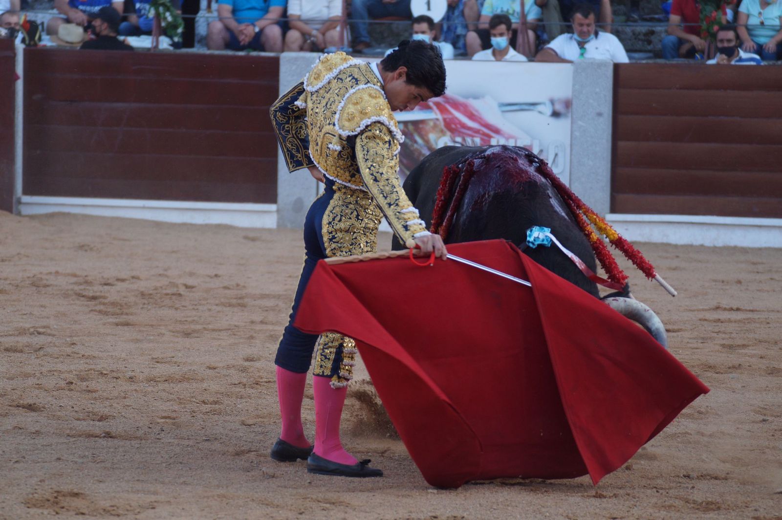 toros-en-guijuelo-15-de-agosto-52
