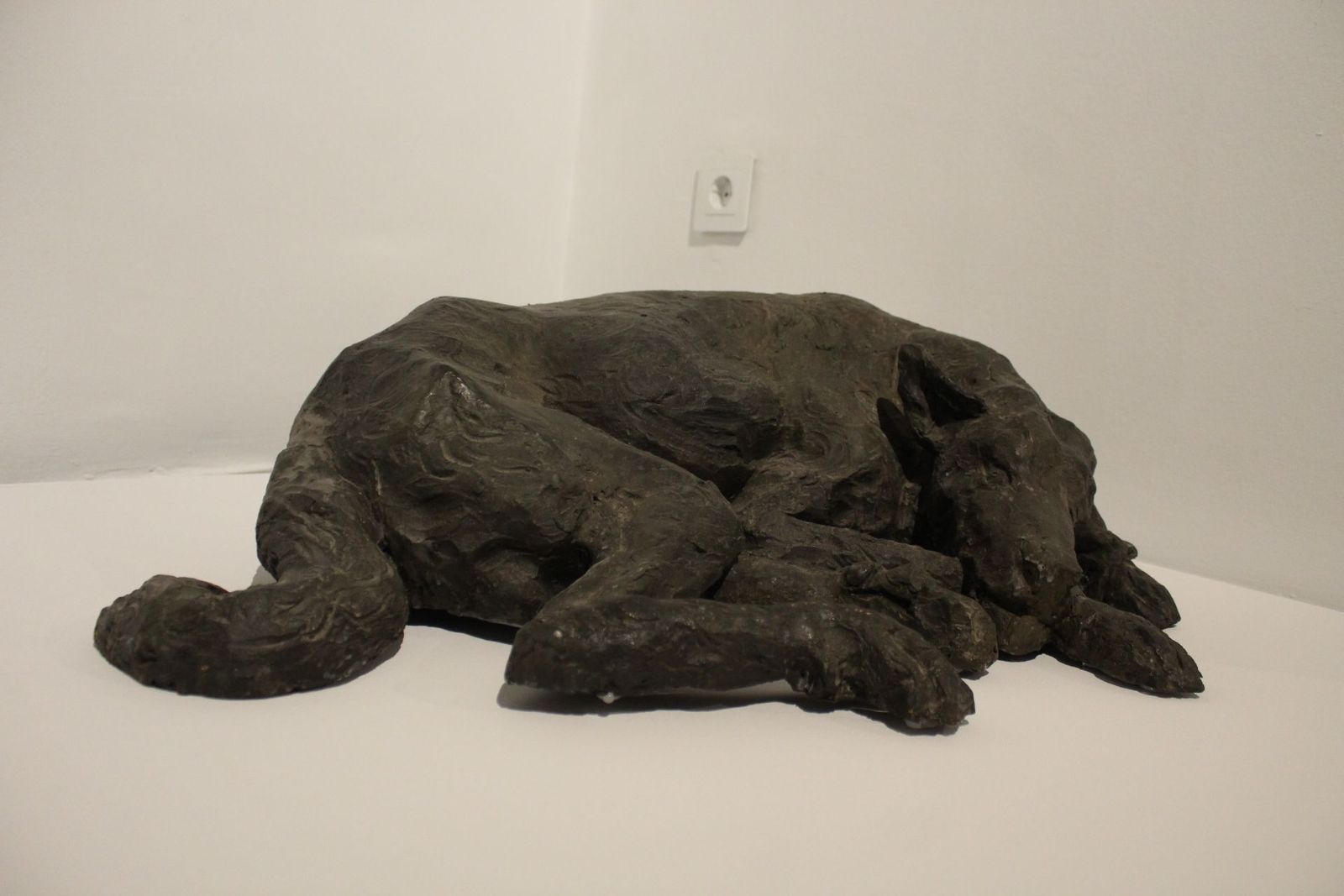 20230523130911-img-7629