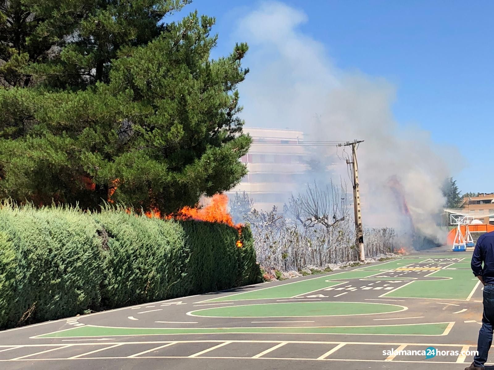 WhatsApp Image 2020 08 04 at 14.02.49