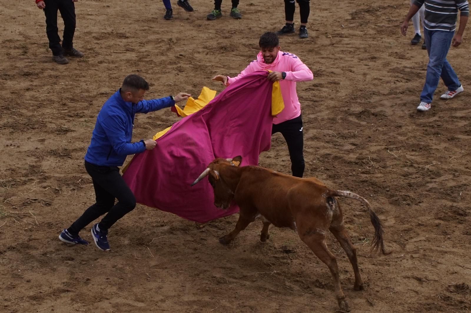 whatsapp-image-2023-05-22-at-20-19-31