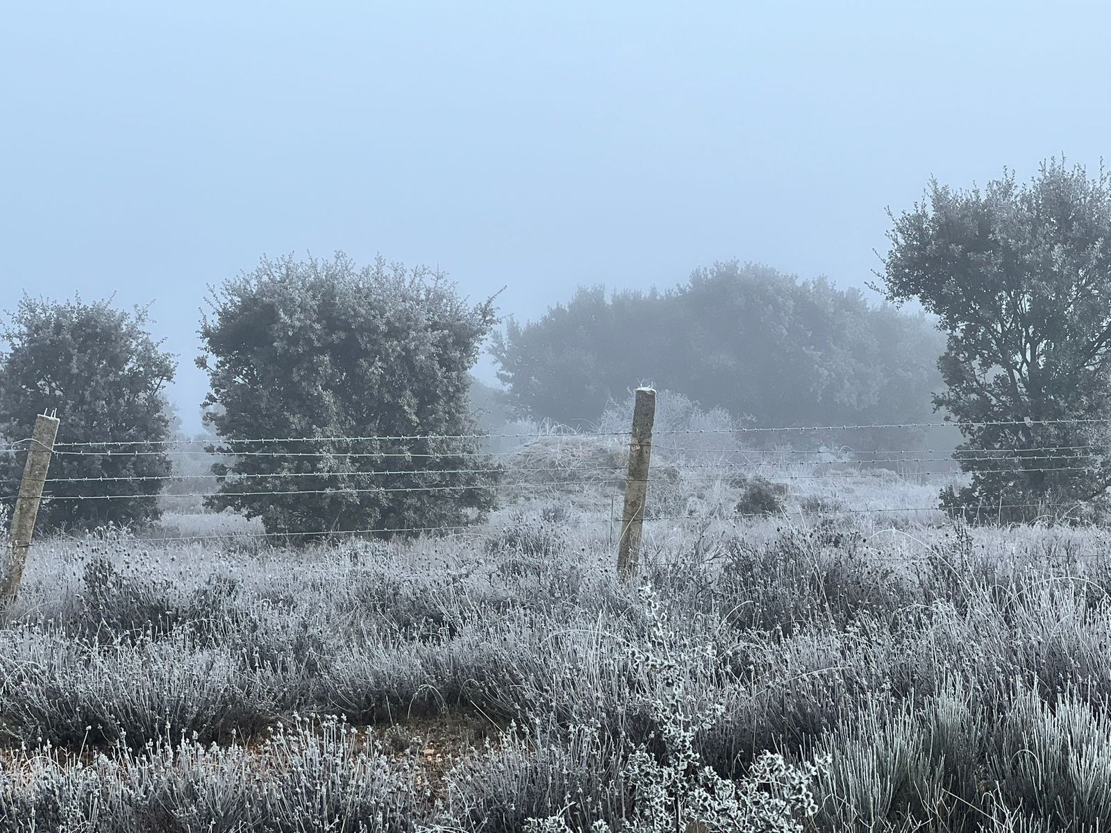 Salamanca amanece congelada: así están las calles de la capital y la provincia