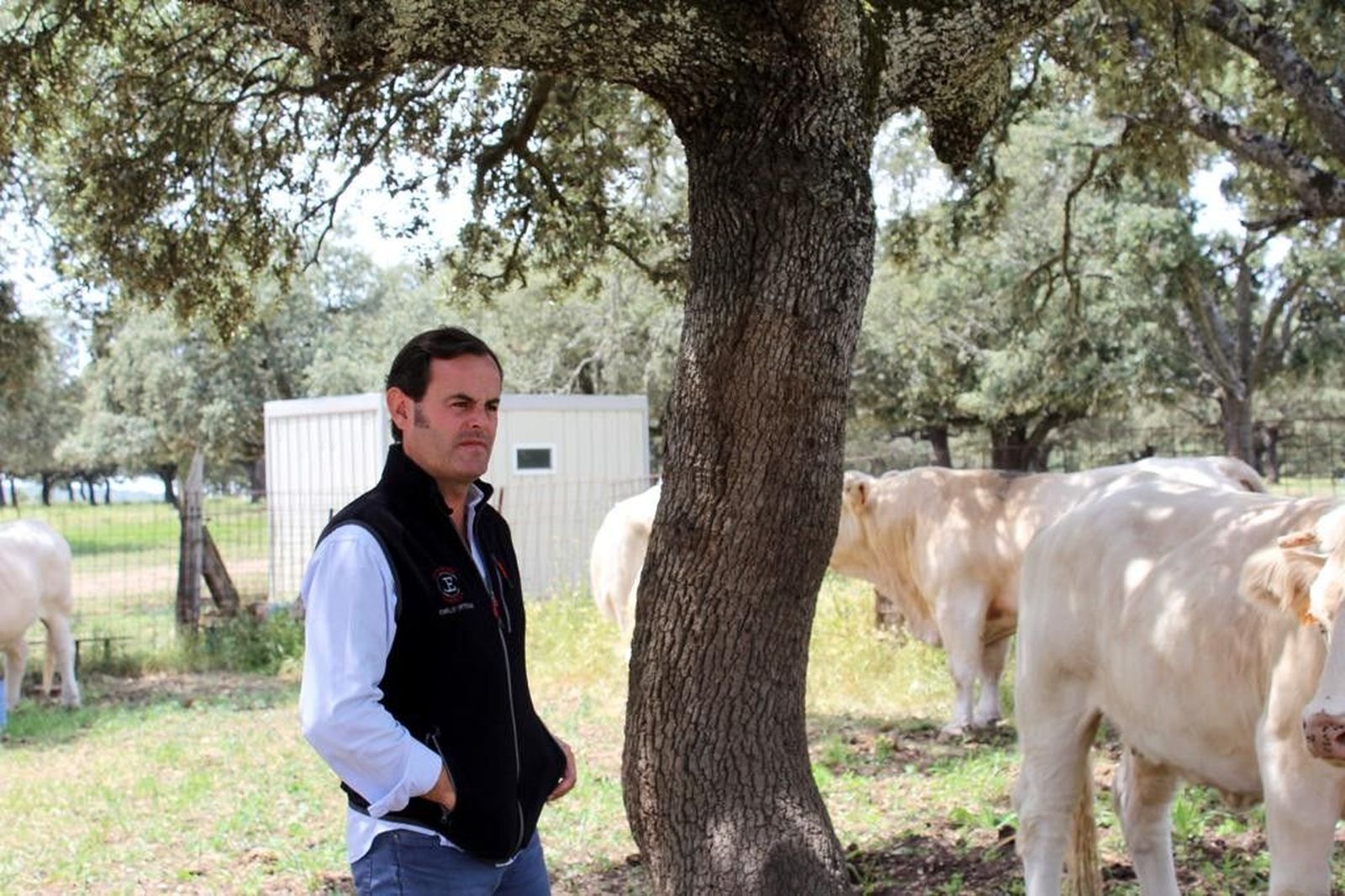 Emilio ortega ganadero