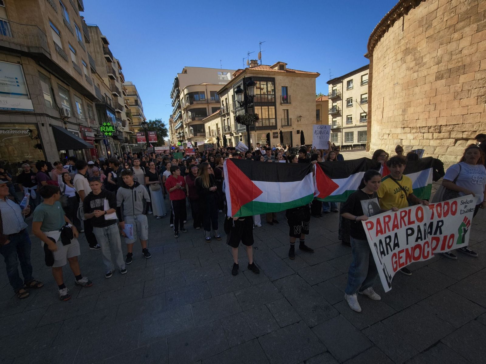 Manifestación por Palestina