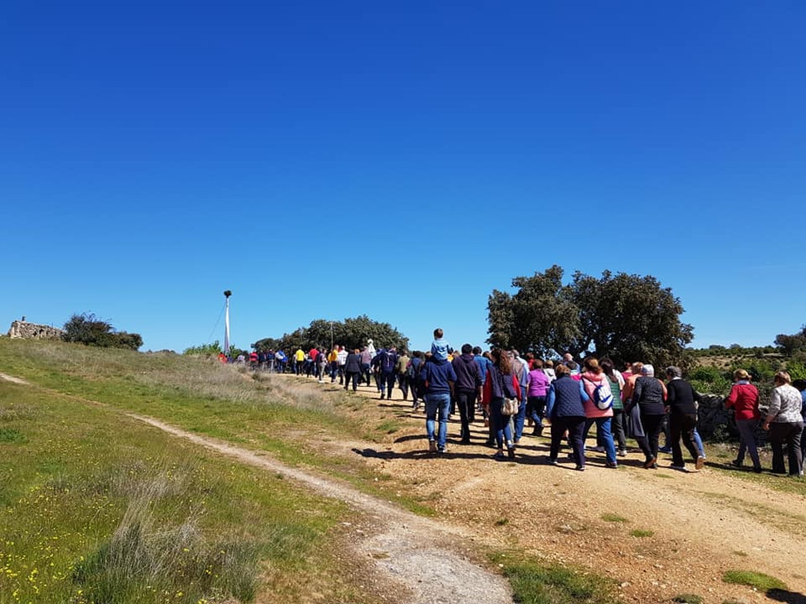 Romería de San Marcos en Almeida de Sayago. Foto RRSS Ayuntamiento