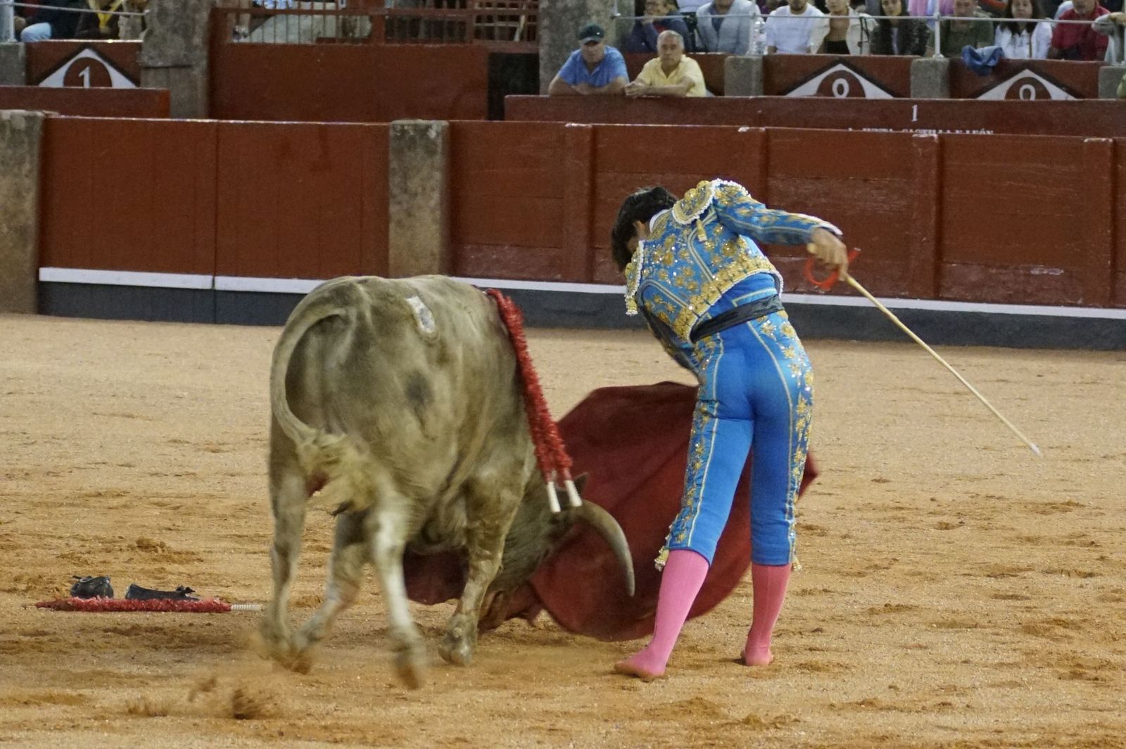 Clase práctica con alumnos de la Escuela de Tauromaquia de Salamanca (Diego Mateos, Noel García y Álvaro Rojo con erales de Esteban Isidro)