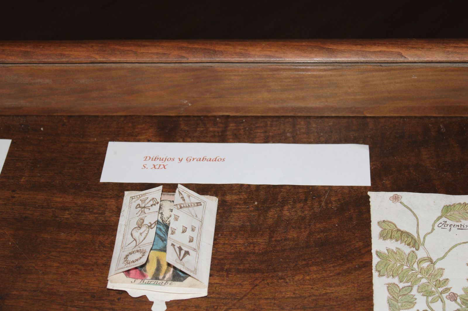 biblioteca-usal-serendipias-libros-historicos-directora-de-la-biblioteca-de-la-usal-libros-6