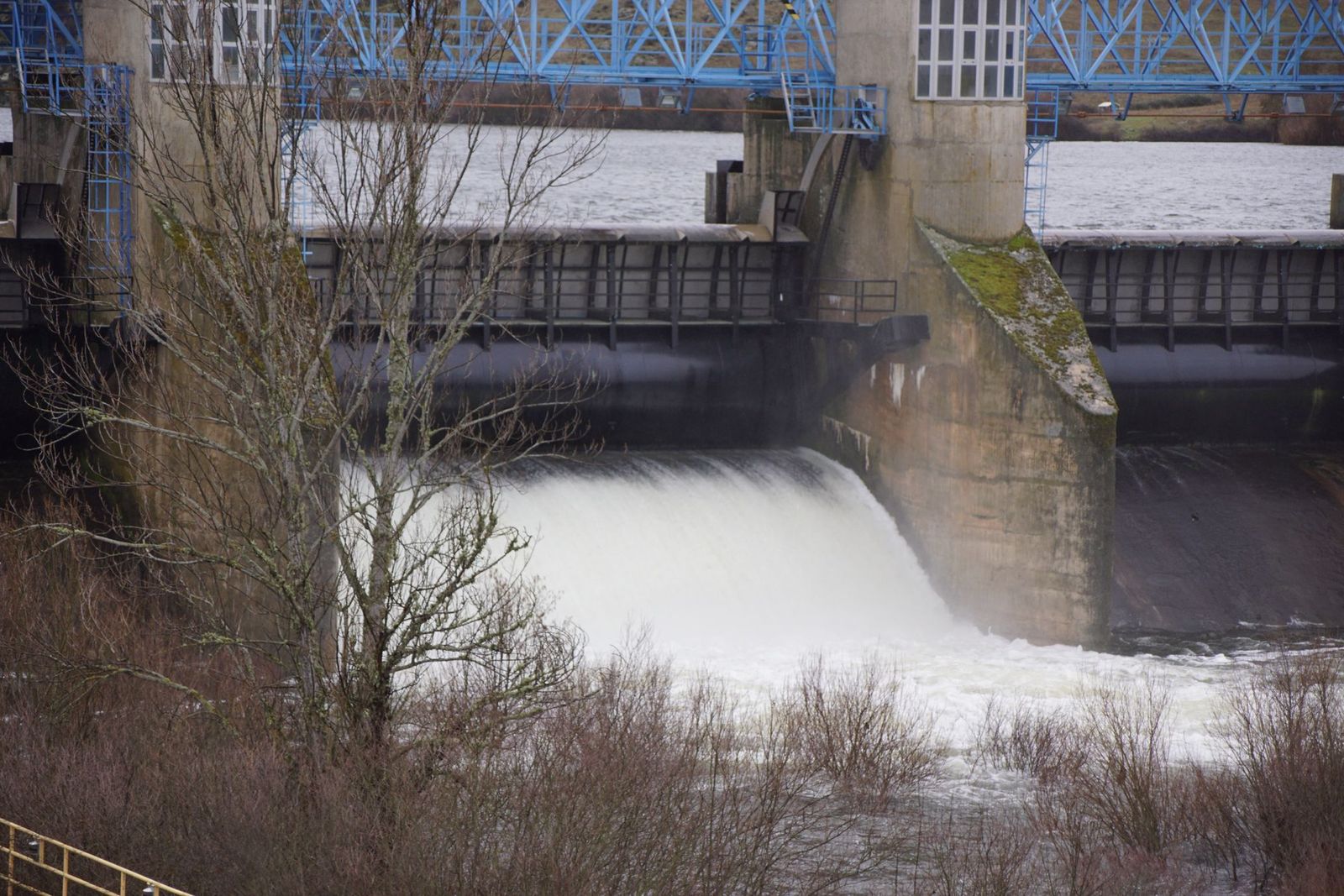 Azuz de Villagonzalo  (5).jpeg