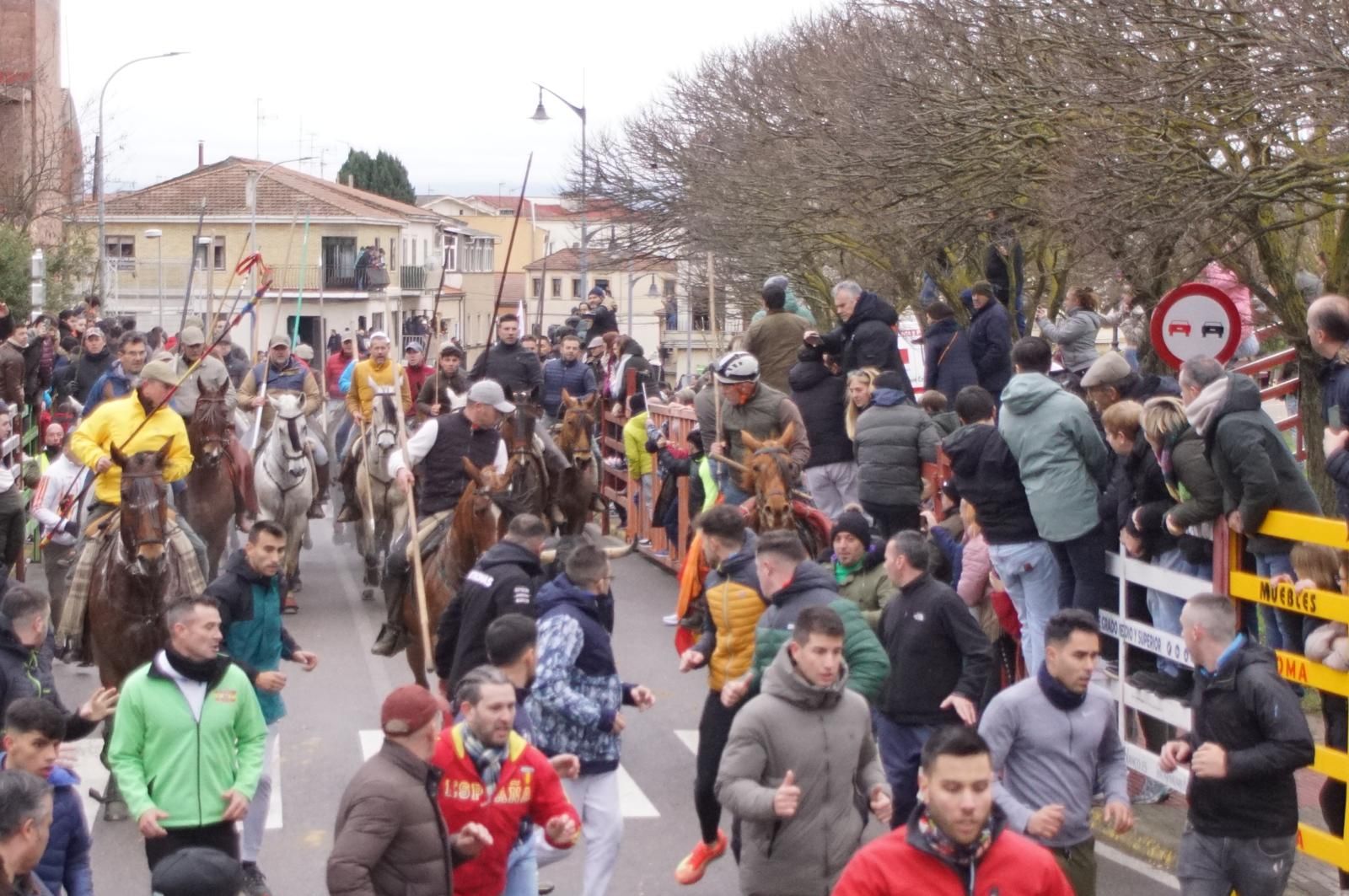 Encierro a Caballo en el Carnaval del Toro 2026 de Ciudad Rodrigo
