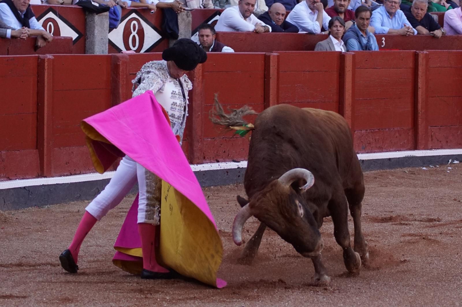Presencia salmantina por partida doble en la primera corrida de la feria: Damián Castaño e Ismael Martín junto al mexicano Diego San Román