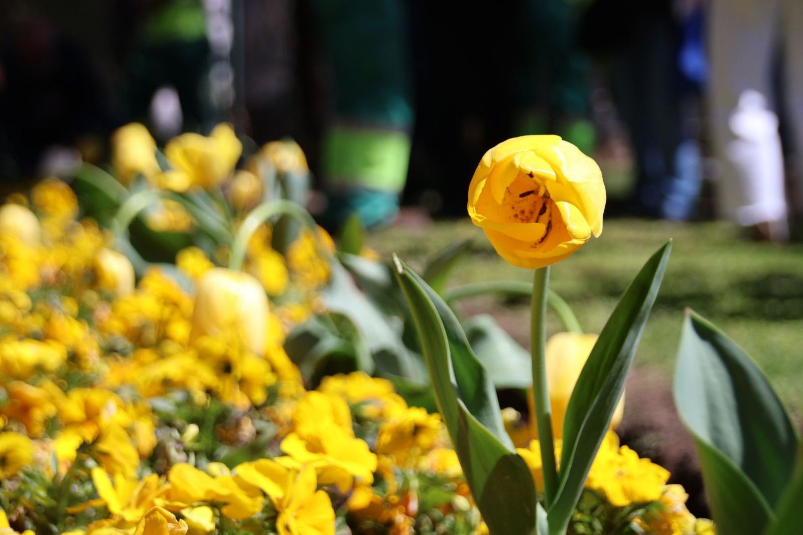 20240410121405-img-7401