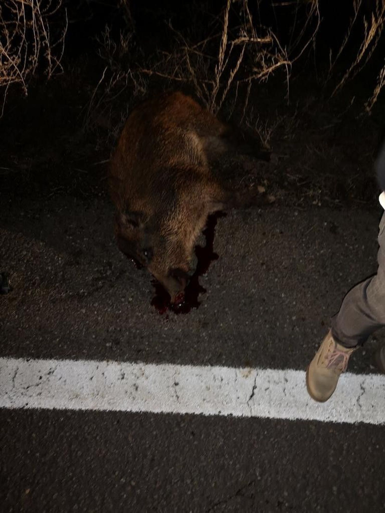 WhatsApp Image 2019 11 16 at 06.38.21