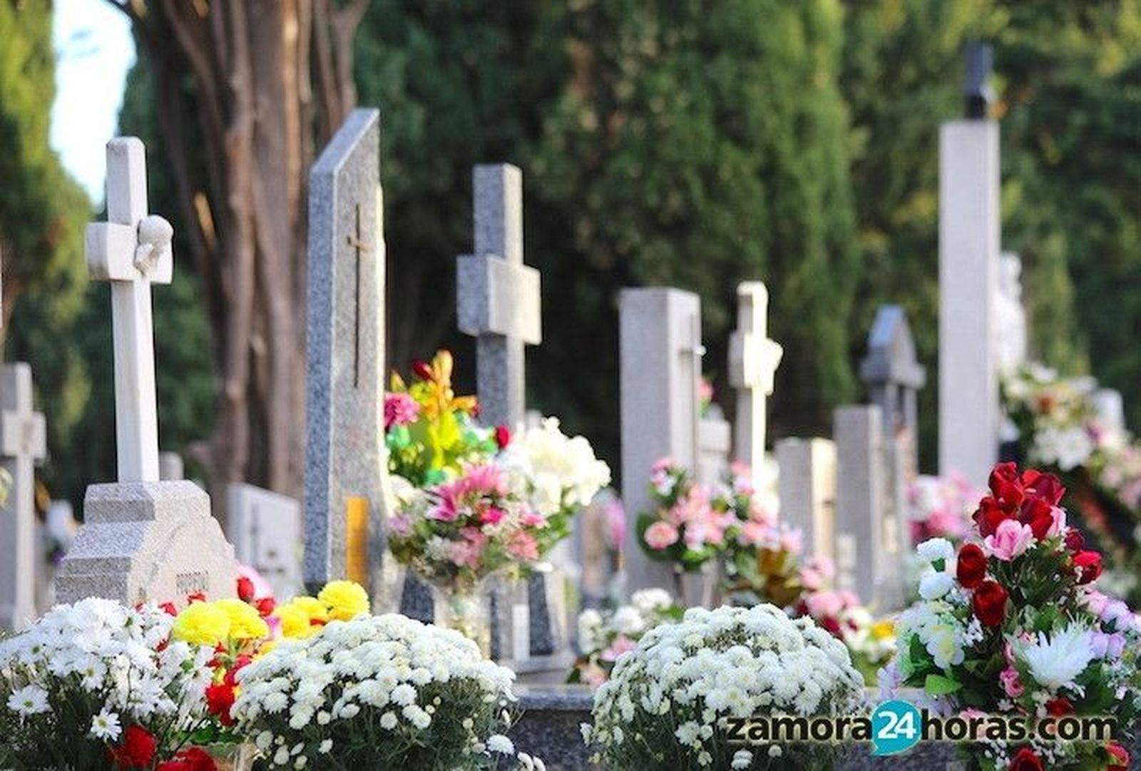 Zamora alcanza su máximo histórico de muertes en un año