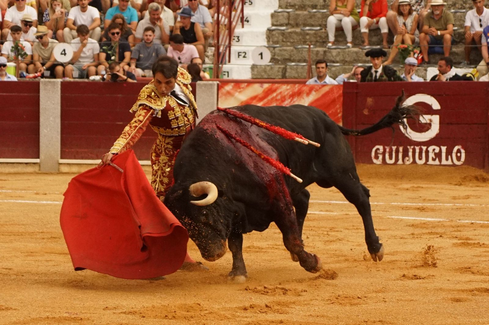 Javier Castaño se despide de Guijuelo y Damián Castaño, su hermano, e Ismael Martín salen a hombros en Guijuelo