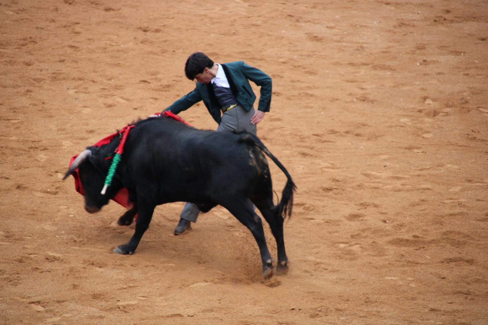 whatsapp-image-2025-03-02-at-18-55-06