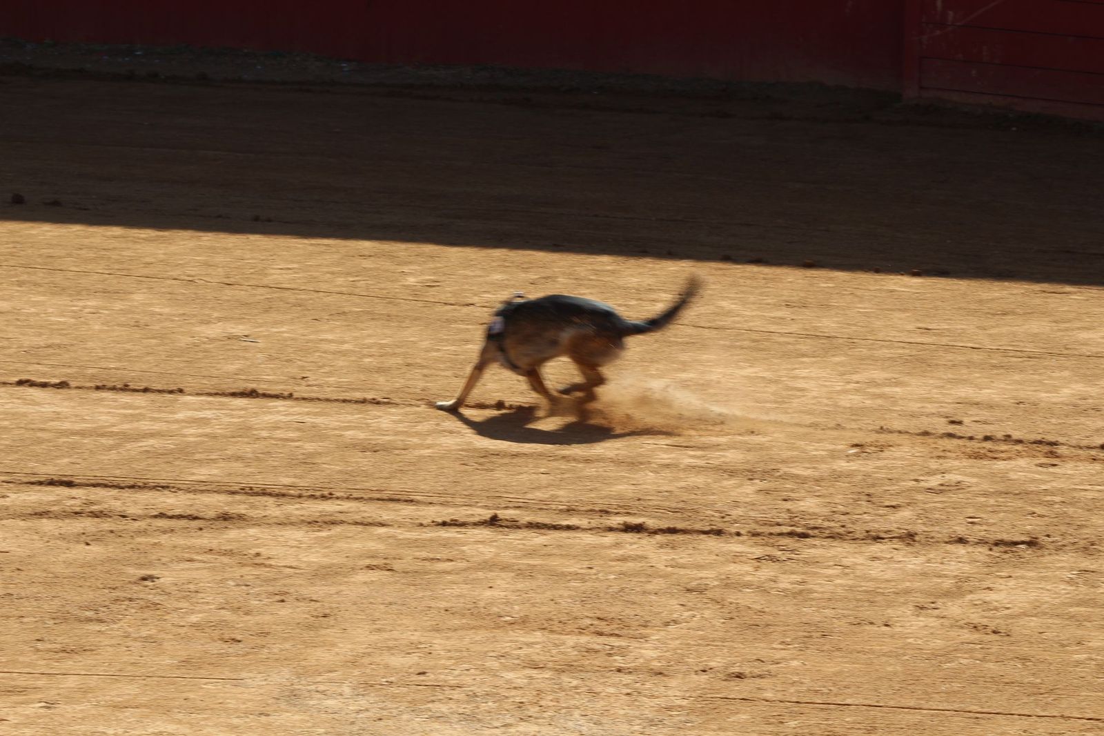 20230905122853-img-7954