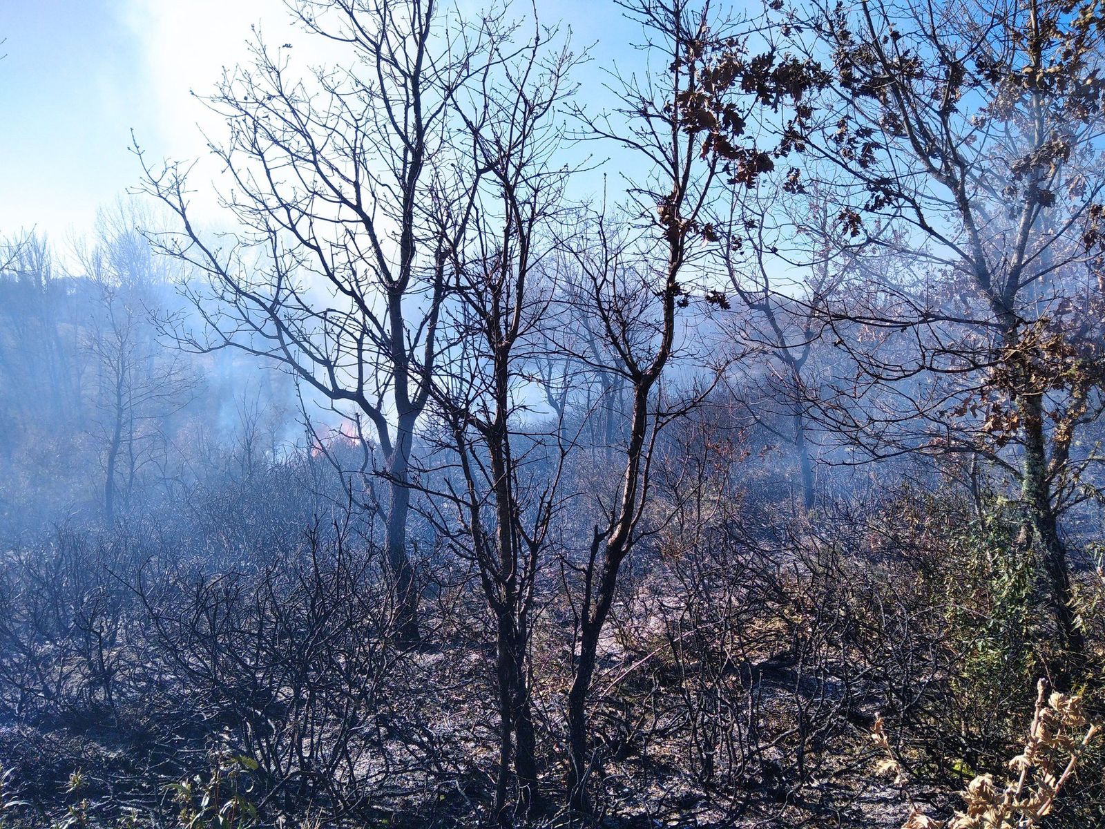 Incendio san juan del rebollar