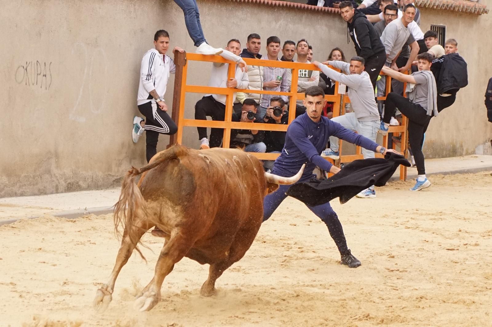 Villoria, toro del Voto