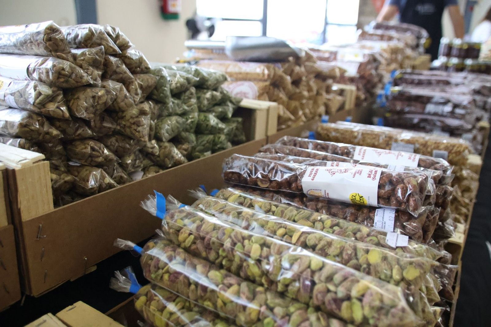 20230903105405-img-7622