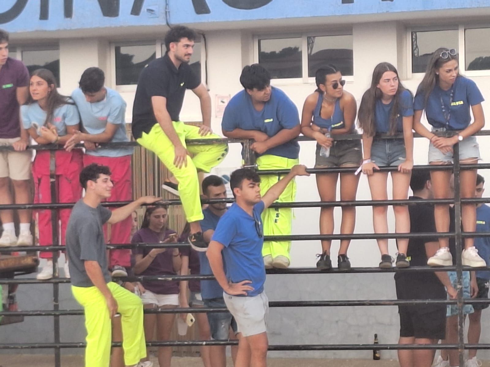 Cientos de personas disfrutan de las vaquillas de Valdelosa