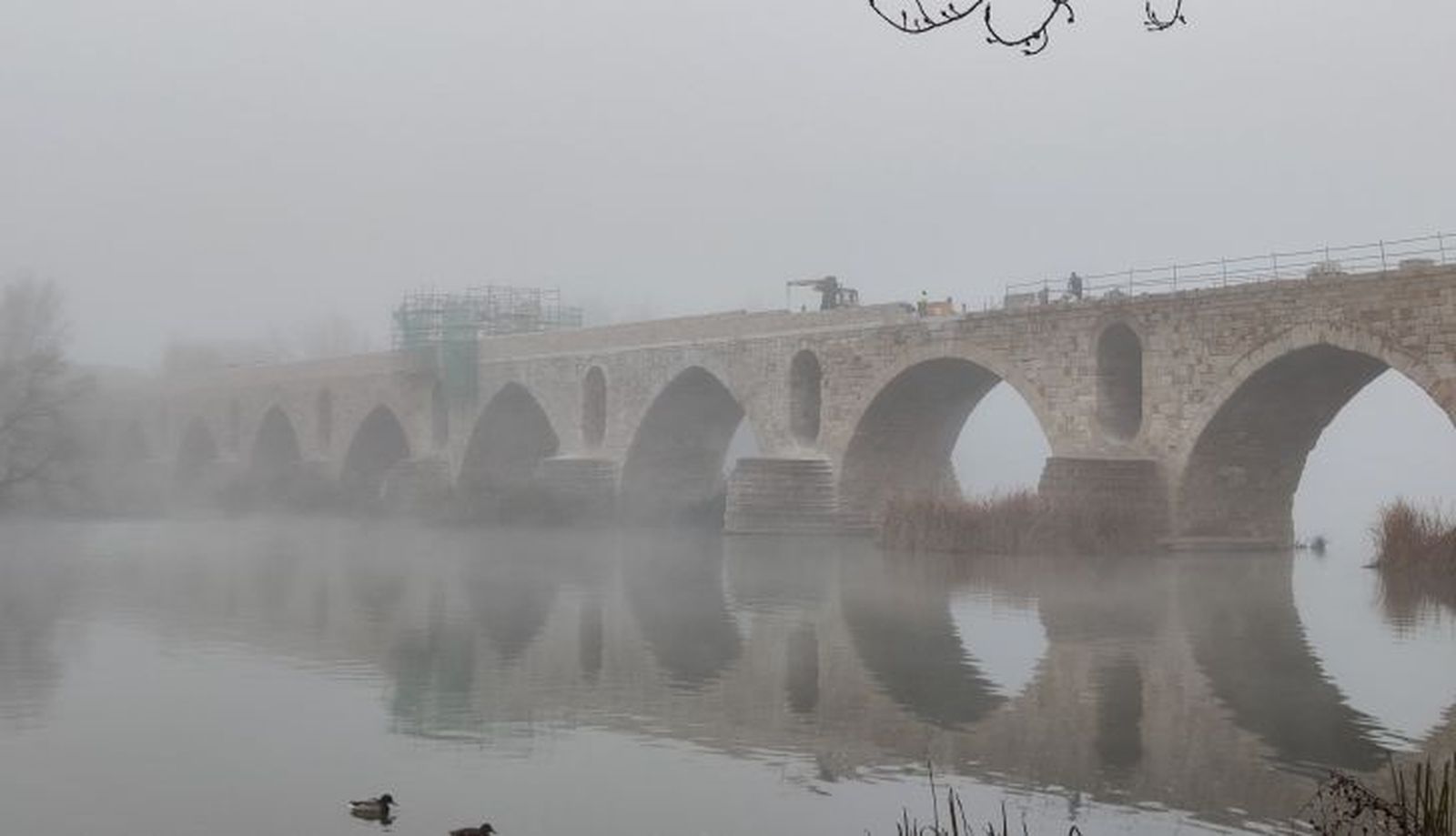 WhatsApp Image 2024 12 16 at 12.22.54 (1)