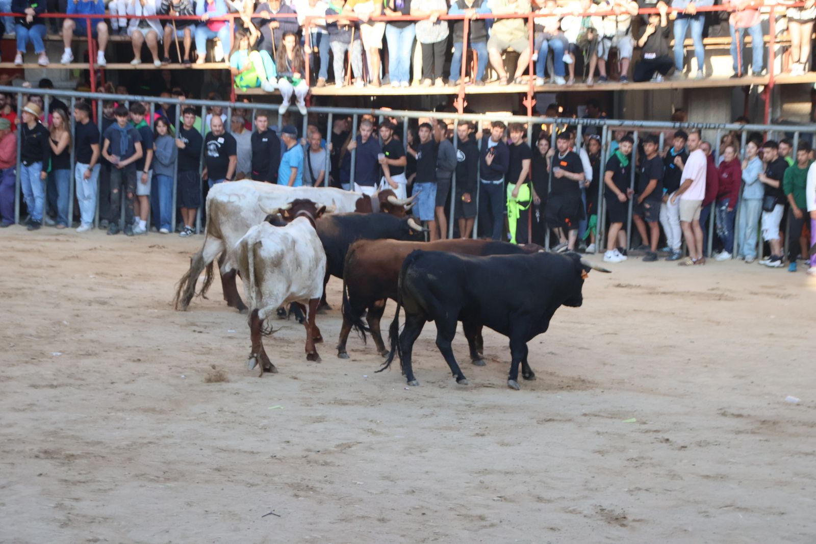 Encierro en Aldeadávila