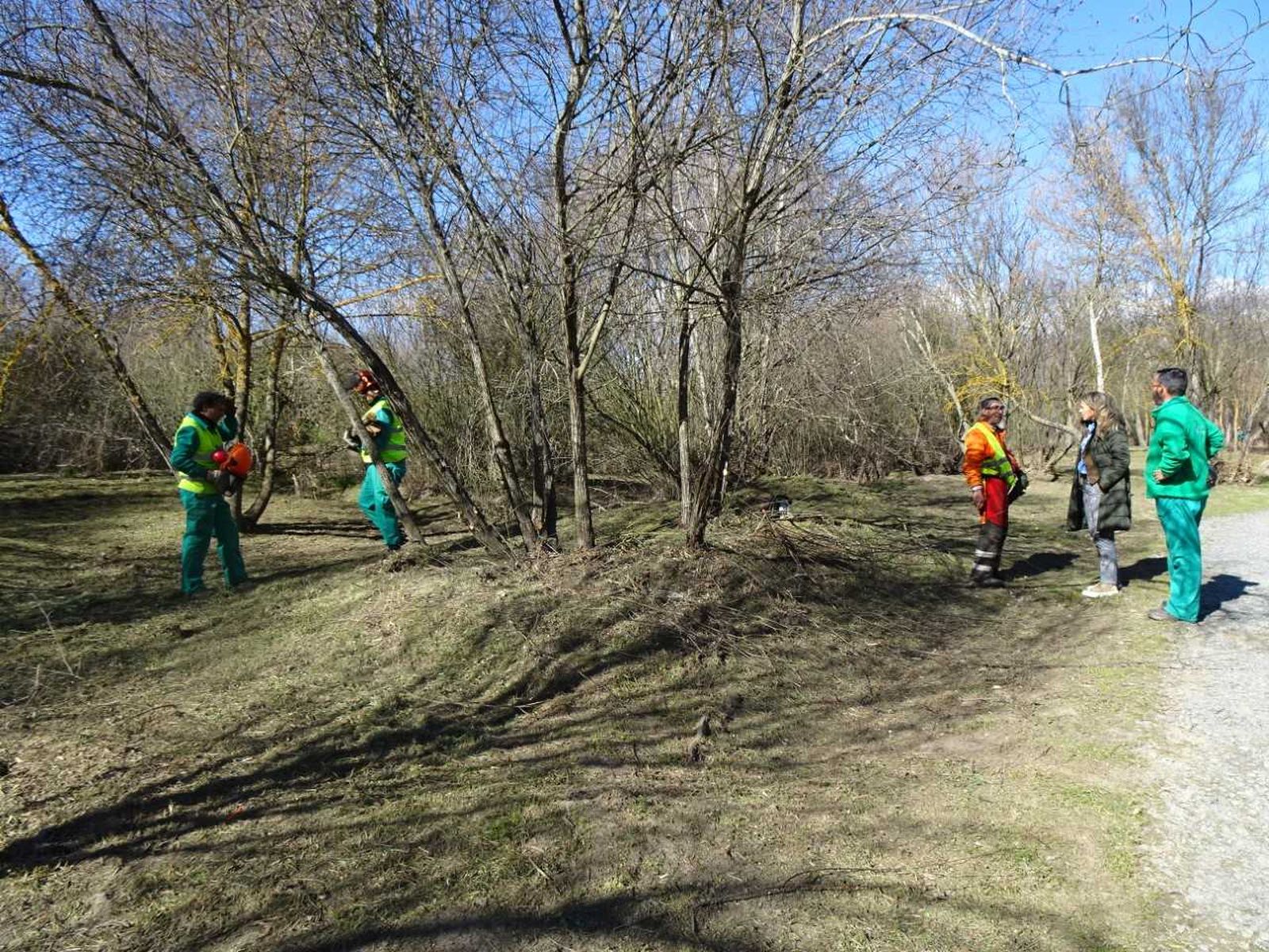 Santa Marta limpia la ribera de la Isla de Soto