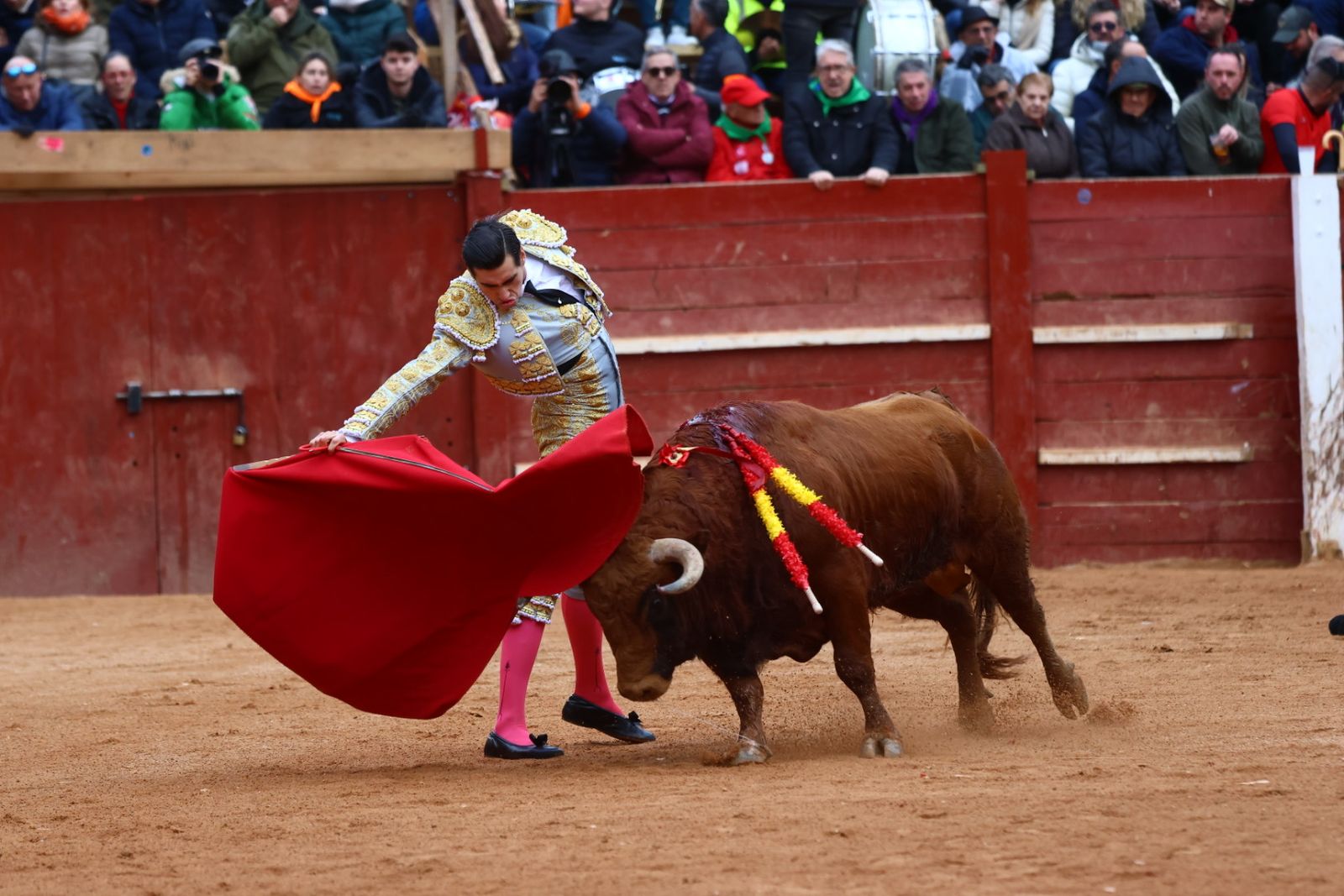 Novillada con picadores de lunes en el Carnaval del Toro de Ciudad Rodrigo 2026