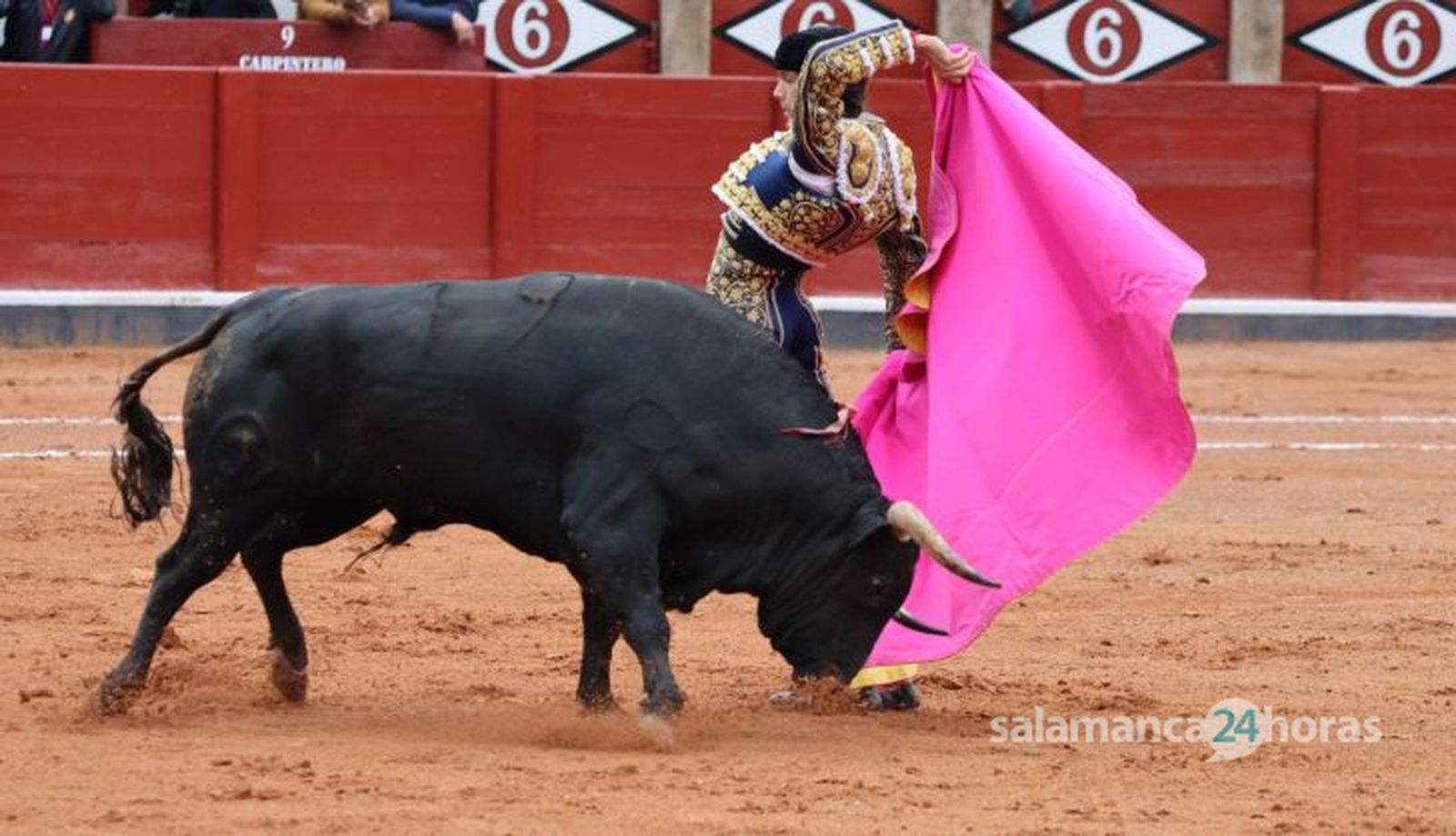 GALERÍA | Corrida de García y Olga Jiménez: momentos más destacados del tercer festejo de abono de la Feria Taurina Virgen de la Vega 2023. Fotos Andrea M.