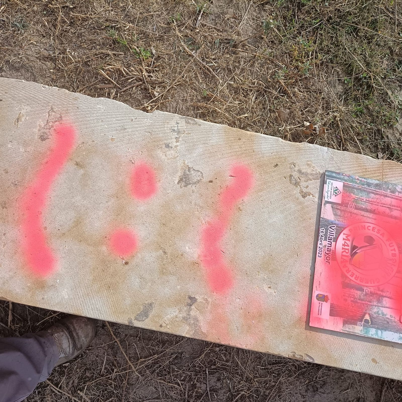 whatsapp-image-2023-10-24-at-22-13-04-1