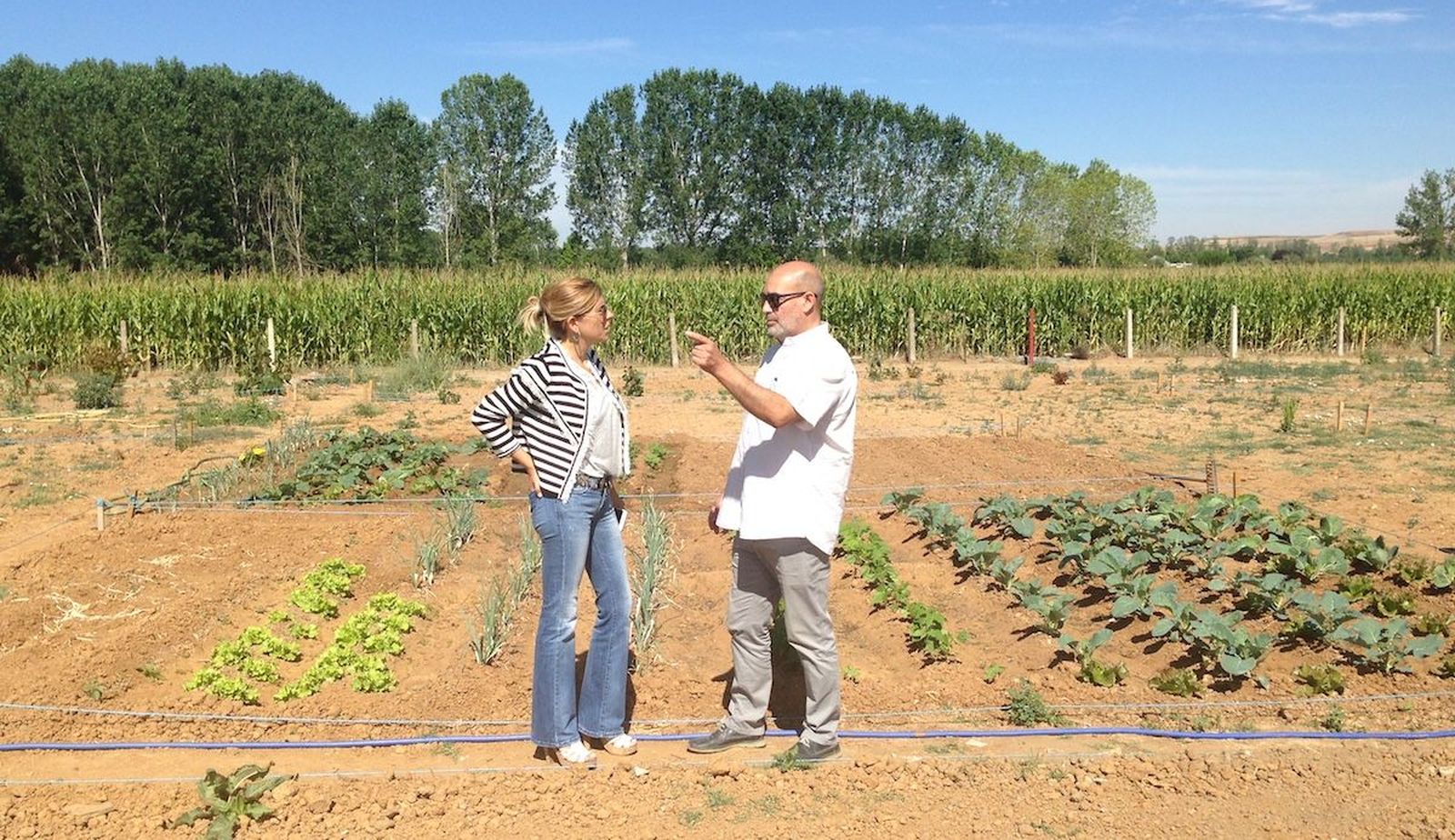 Imagen de archivo de los huertos de ocio en Santa MartA