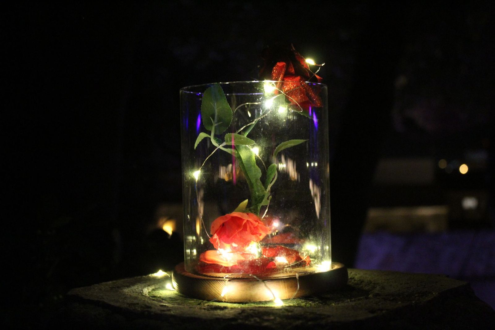 20231204213036-img-6425