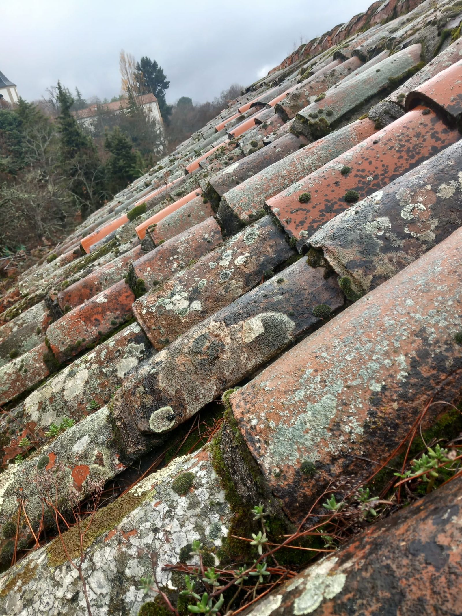Plaza de Toros La Ancianita de Béjar  (21).jpeg