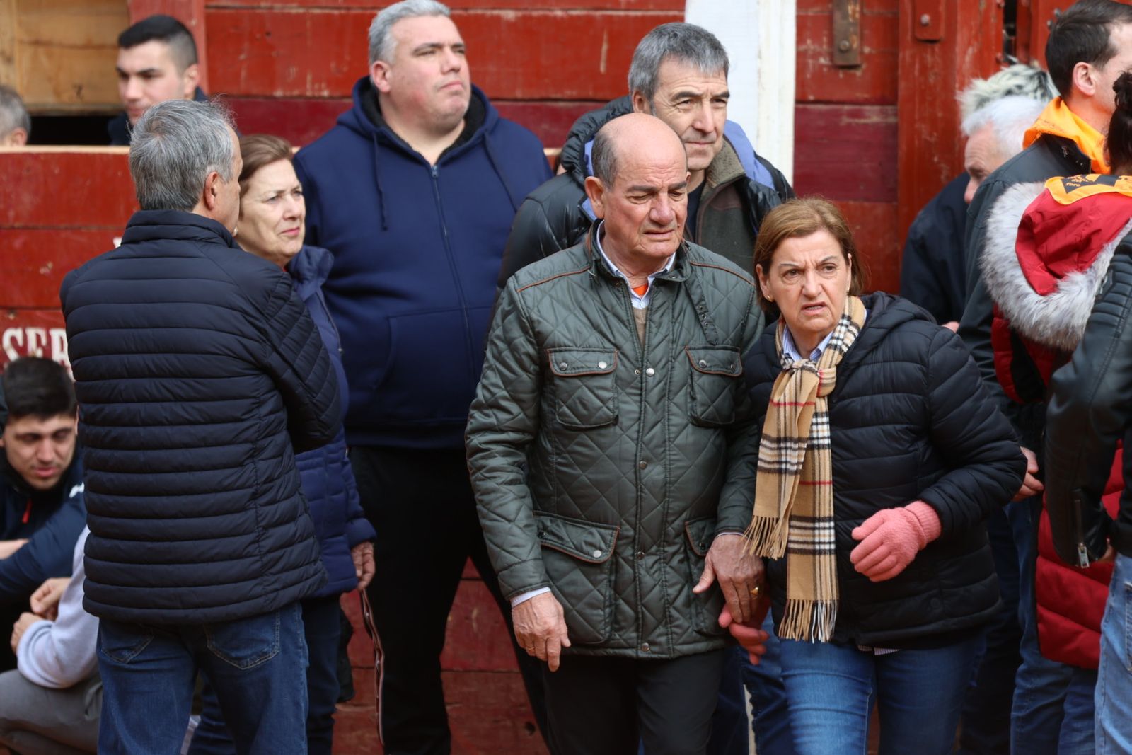 Mañana de capea de lunes en el Carnaval del Toro 2026