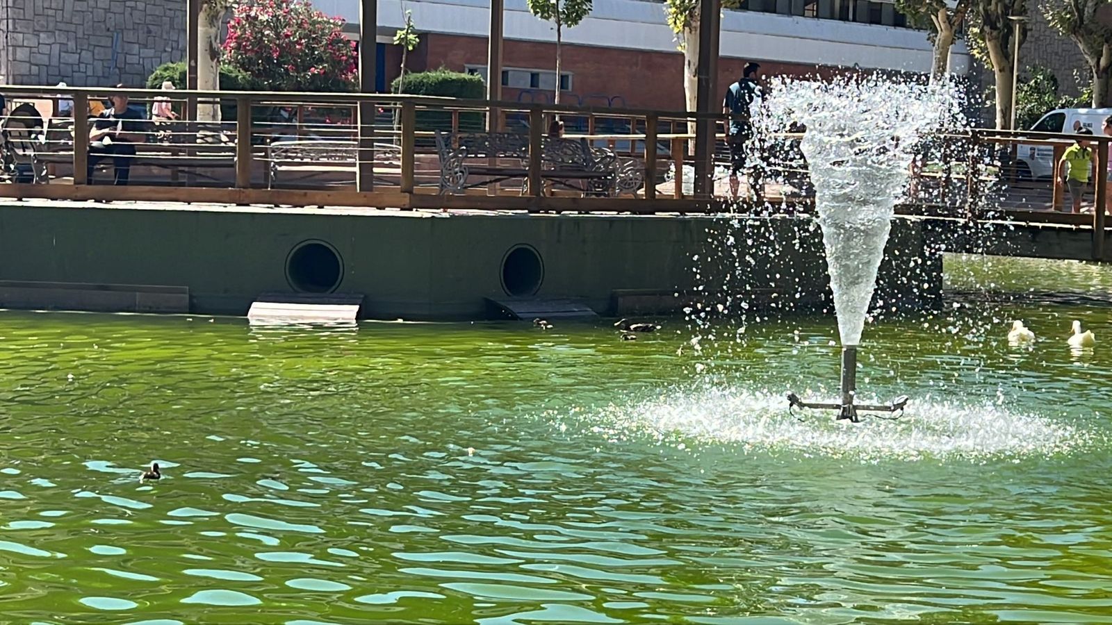 Estanque La Alamedilla en Salamanca. Foto de archivo