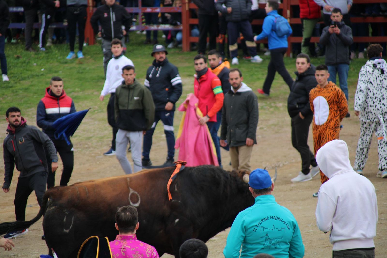 whatsapp-image-2025-03-01-at-11-56-33-1