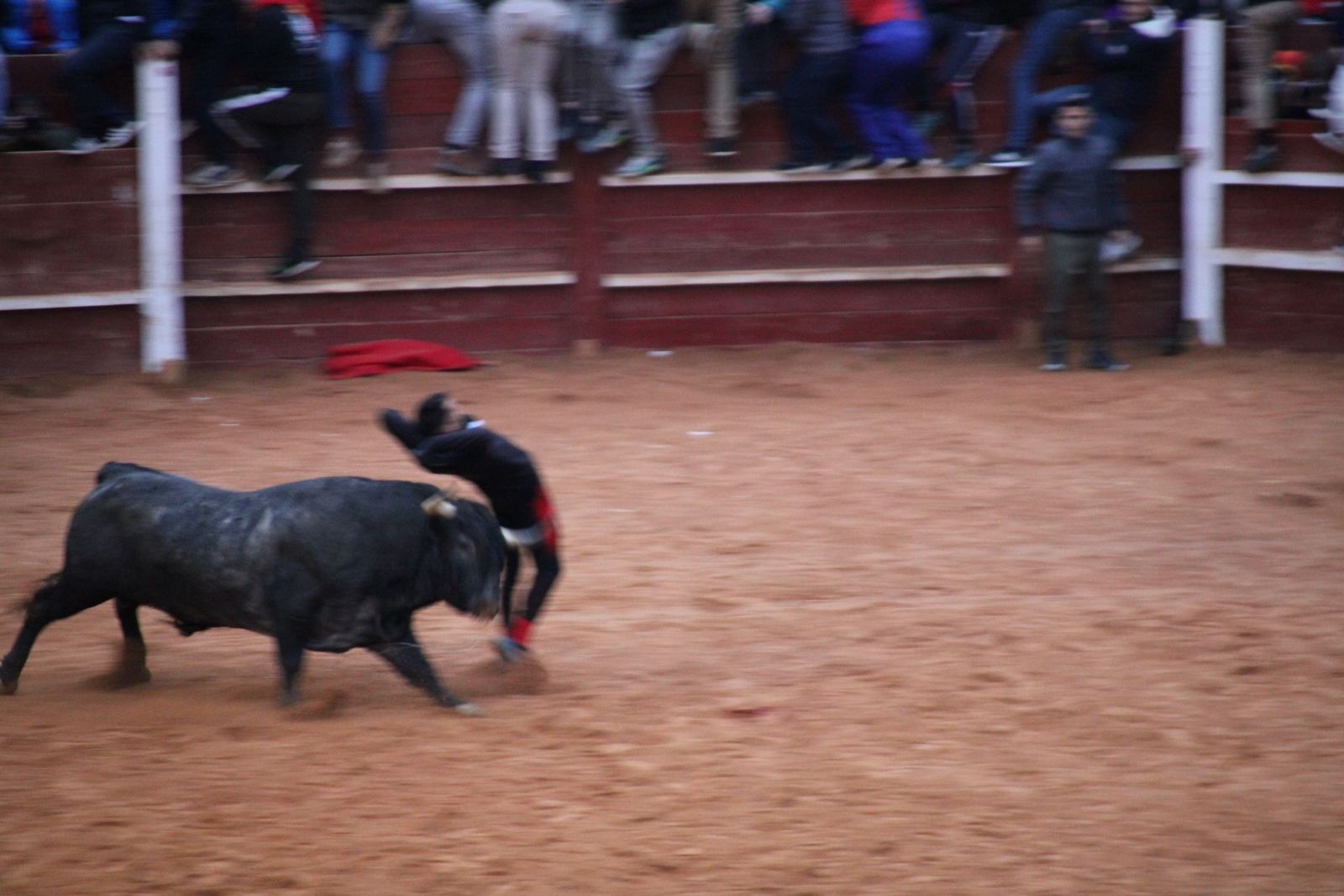 whatsapp-image-2025-03-02-at-19-32-36-2