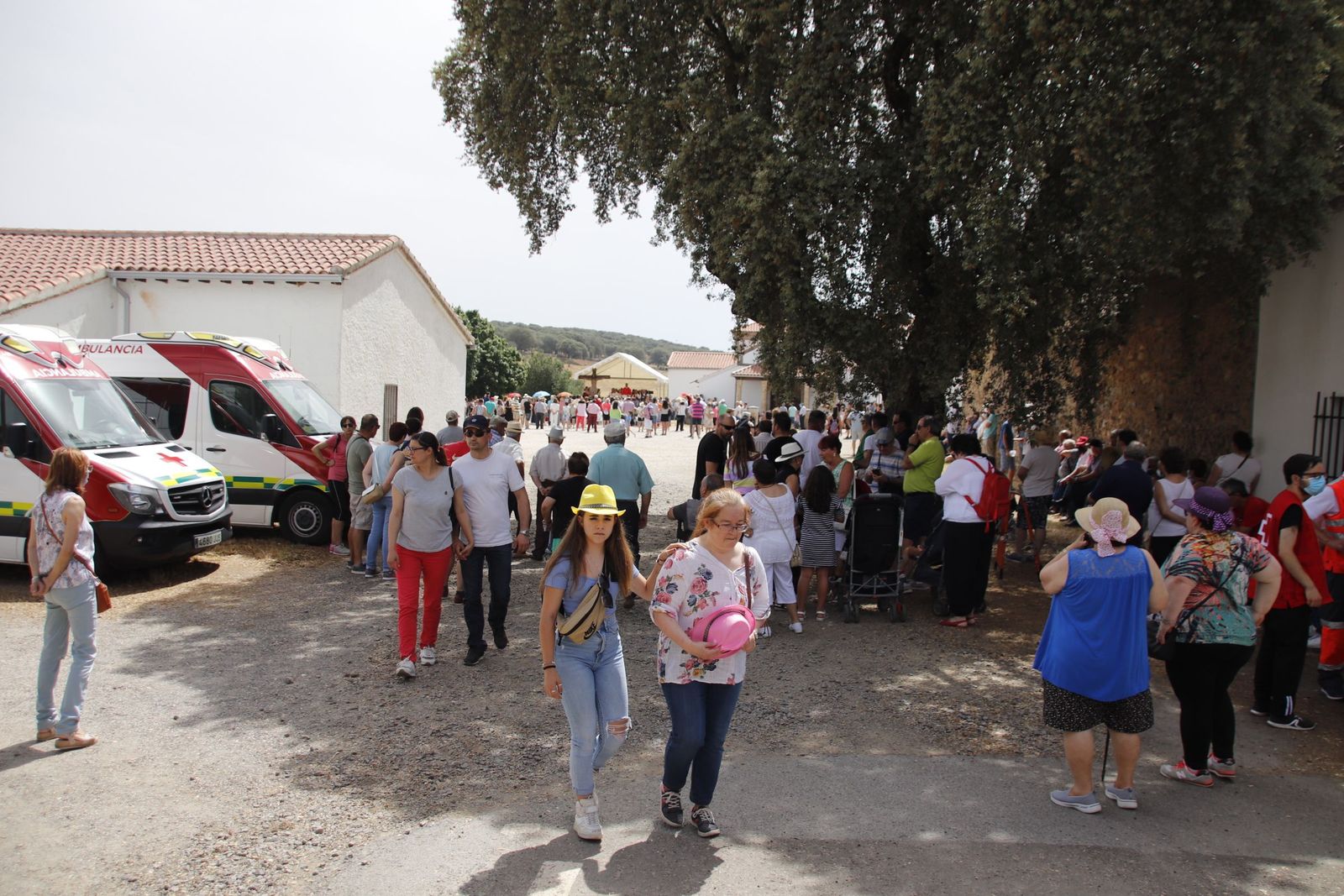 20220618112929-mg-4864