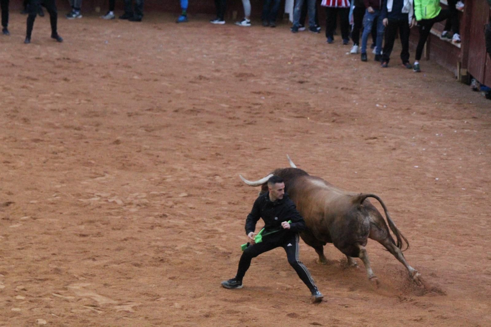 ambiente-y-capea-vespertina-sabado-de-carnaval-en-ciudad-rodrigo-2025-fotos-belen-hurtado-54