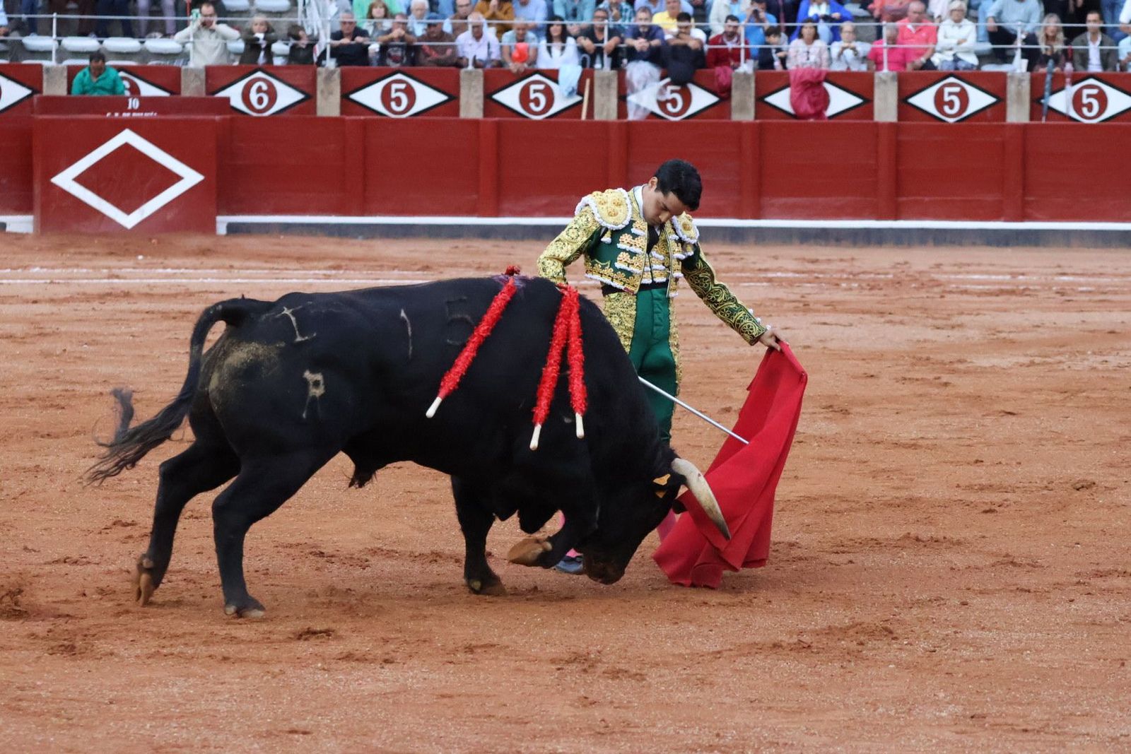 20230915192152-img-4337