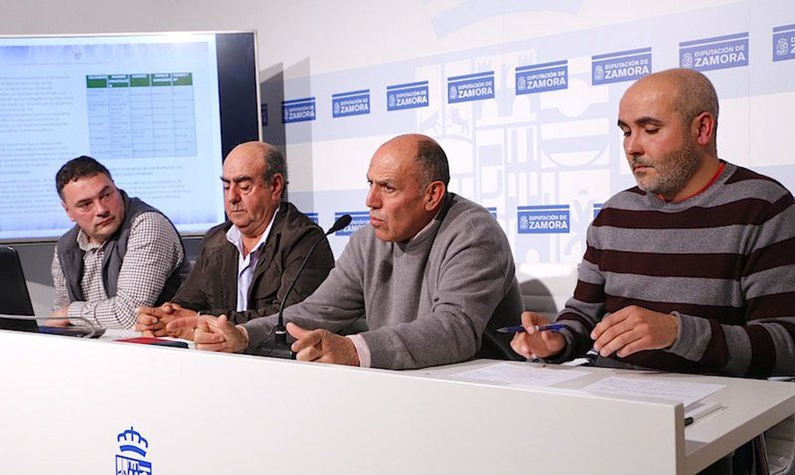 El asno zamorano-leonés, ¿la solución a los ataques de lobo?