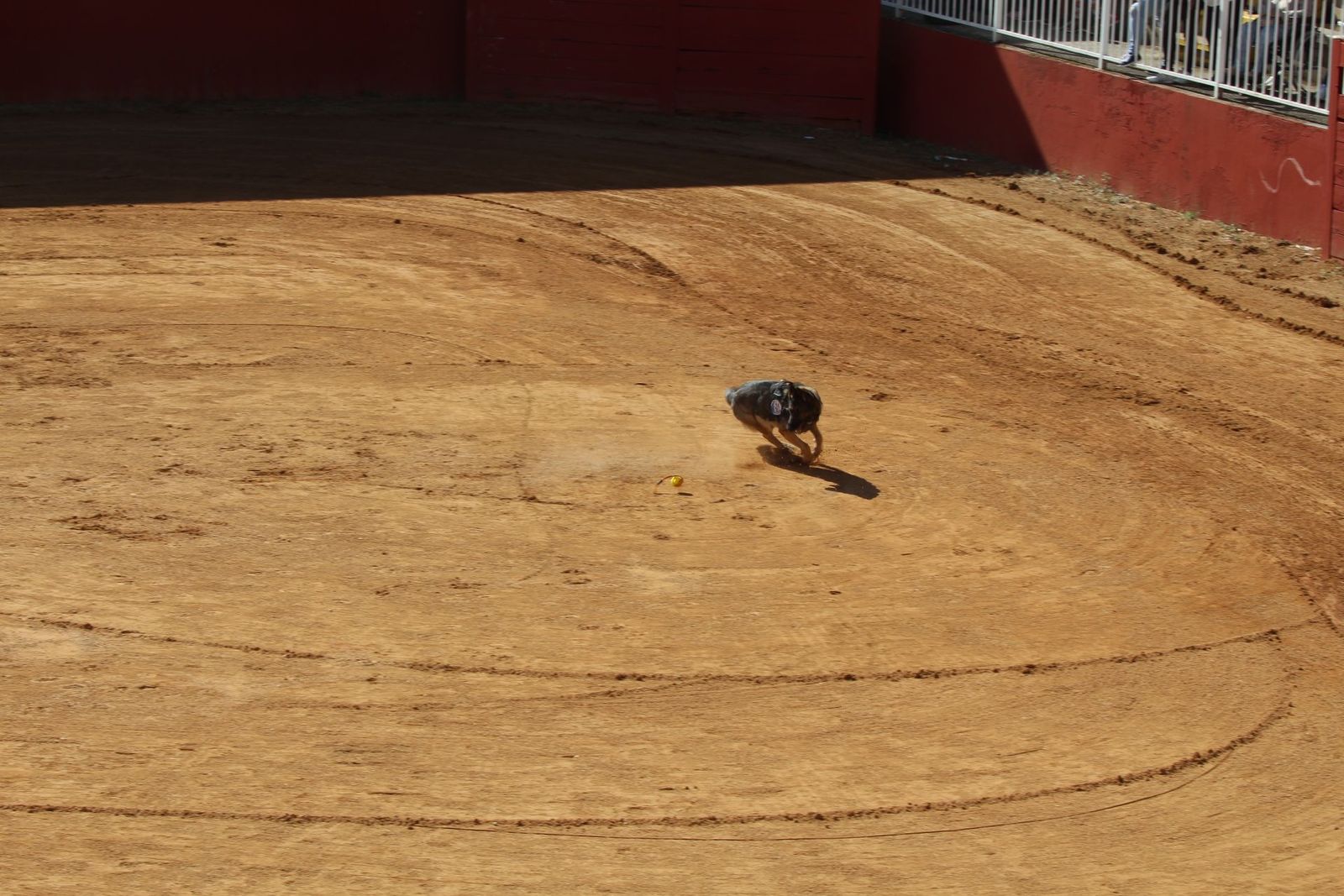 20230905122917-img-7962