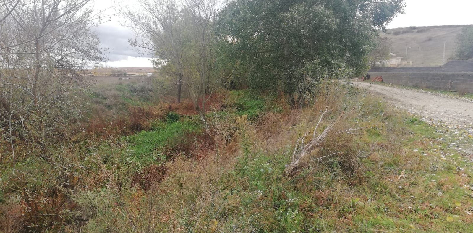 Una imagen de un río en la provincia de Salamanca