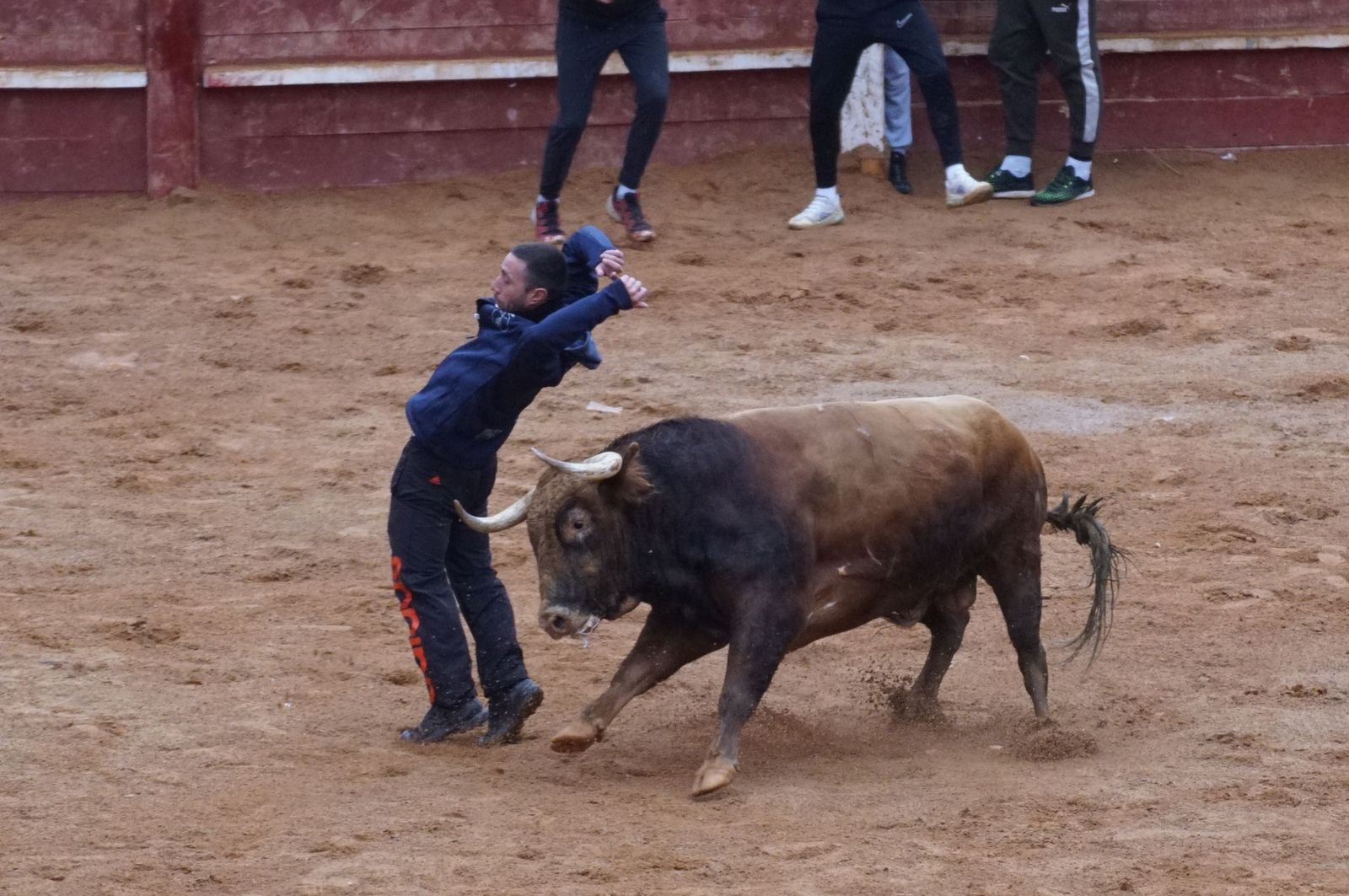 whatsapp-image-2025-03-03-at-14-50-32-2