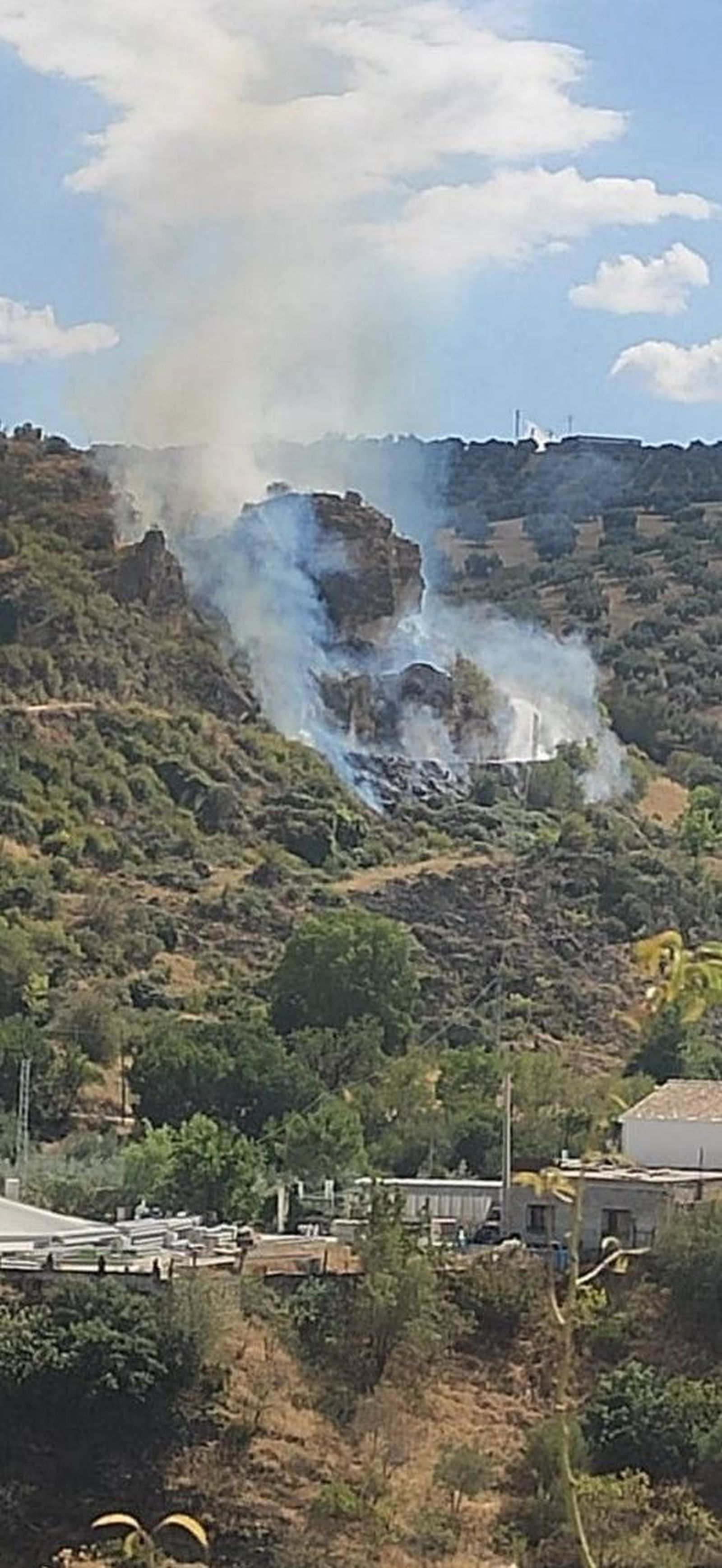 La mitad de las denuncias son por incendios y contra la Ley de Montes