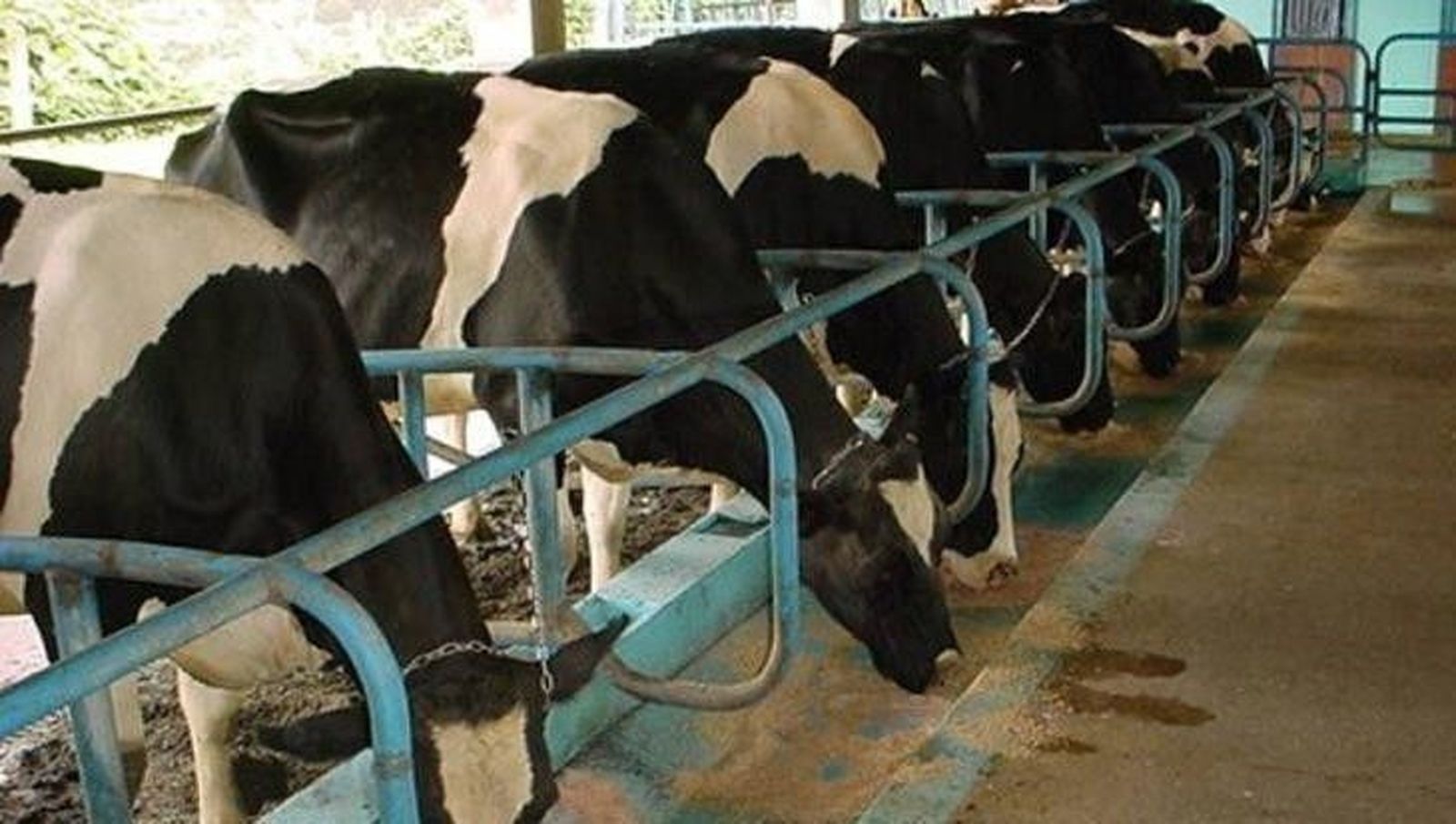 La Diputación concede 17.000 euros a asociaciones y cooperativas para sistemas de control lechero