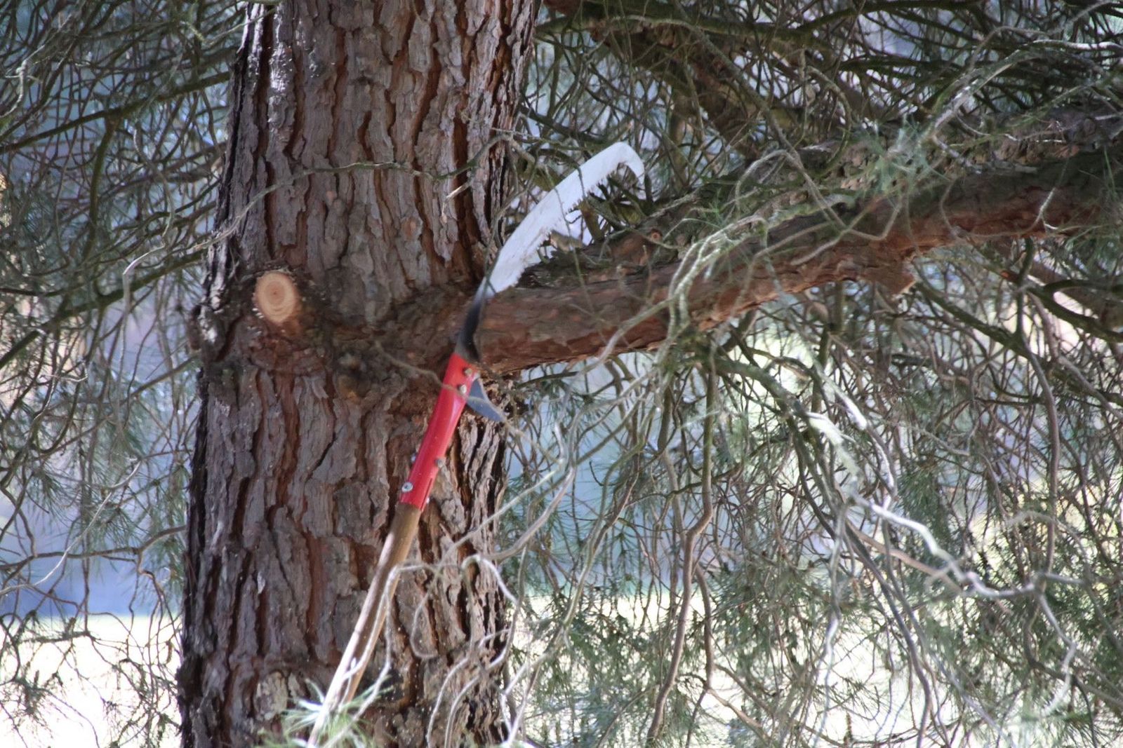 20240413104050-img-8054